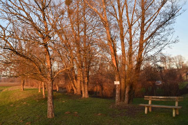 Foto: Martin Wurglits
