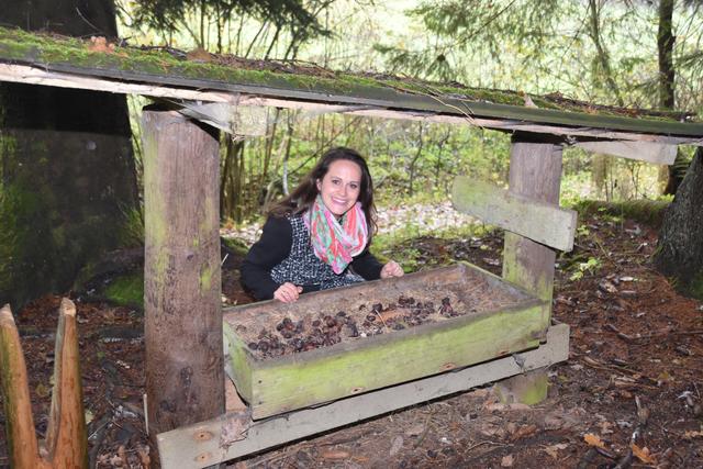 Ein Lieblingsplatz von Werderits: die Wildfütterstelle im Wald, unweit der Burgauberger Hubertuskapelle. | Foto: Martin Wurglits
