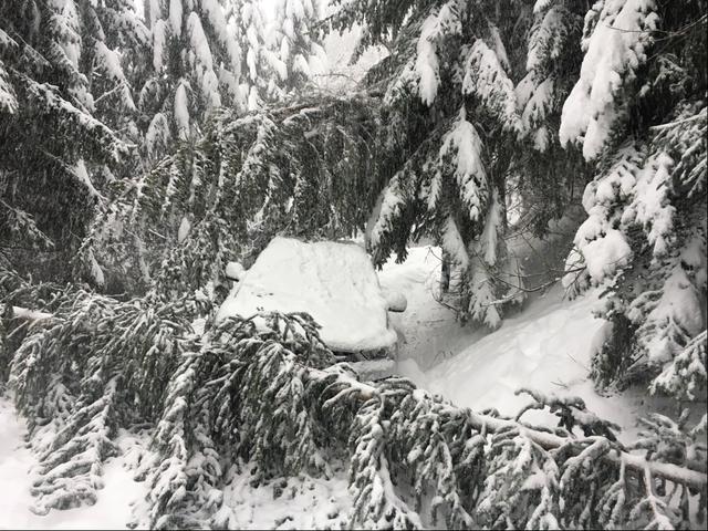 Schneesituation und umgestürzte Bäume in Moosham (Gemeinde Unternberg) im Lungau. Ein Auto wurde regelrecht begraben, wie man sieht. | Foto:  Gemeinde Unternberg/Bezirkshauptmannschaft Tamsweg