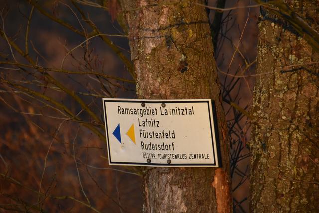 Foto: Martin Wurglits
