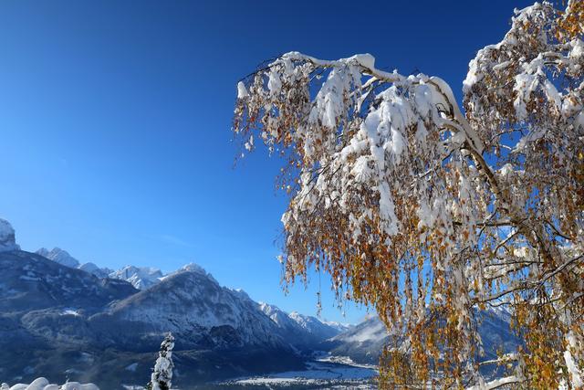 Der Herbst viel zu früh vom Winter erwischt