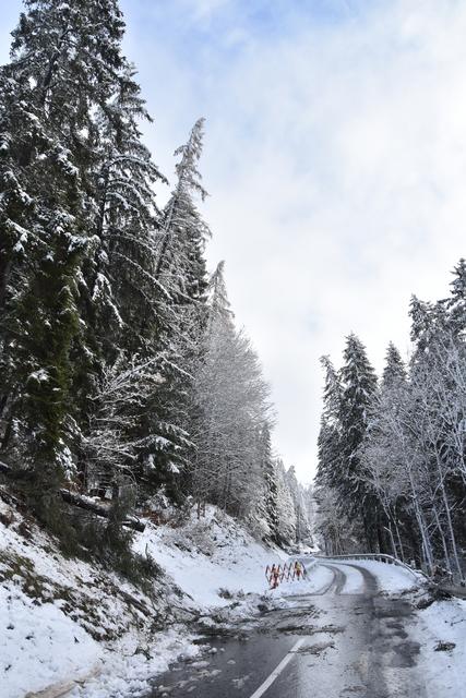 Die Stolzalpenstraße wird am Freitagabend freigegeben. | Foto: FF/Horn