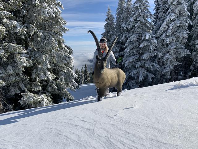 3D-Wildtiere bei der Schneehaserlabfahrt - ein Wildlehrpfad auf Ski. | Foto: Gauss