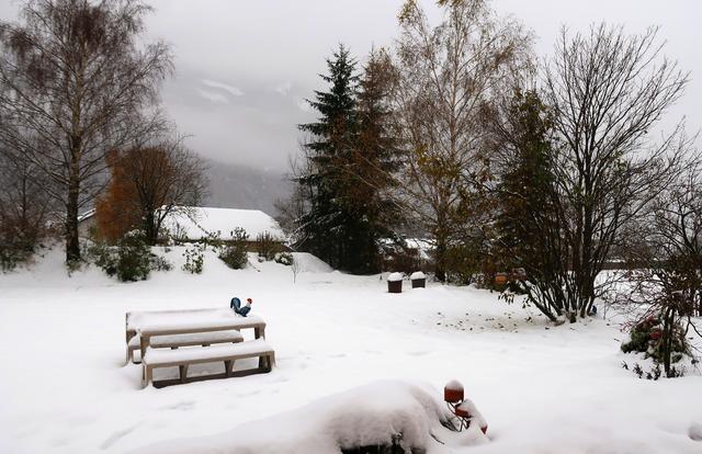 auf Schneefall kommt Regen