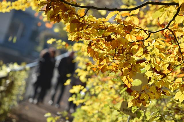 Foto: Wolfgang Spitzbart