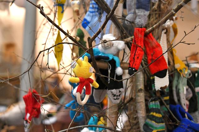 Foto: Wolfgang Spitzbart