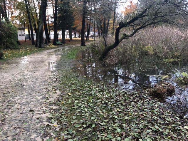 Der Wörthersee bei Pörtschach