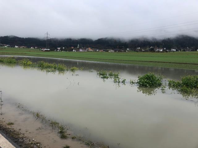 Foto: Alexandra Wrann