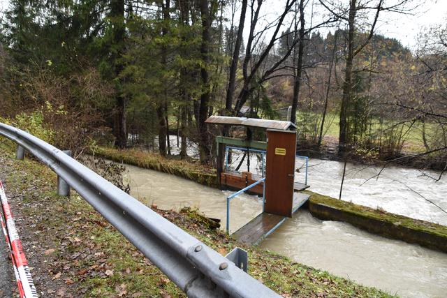 Foto: Alexandra Wrann