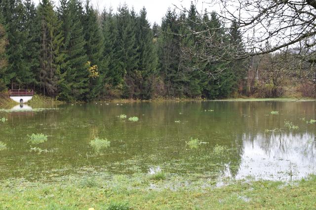 Foto: Alexandra Wrann