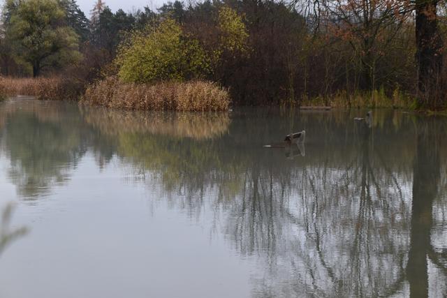 Foto: Alexandra Wrann