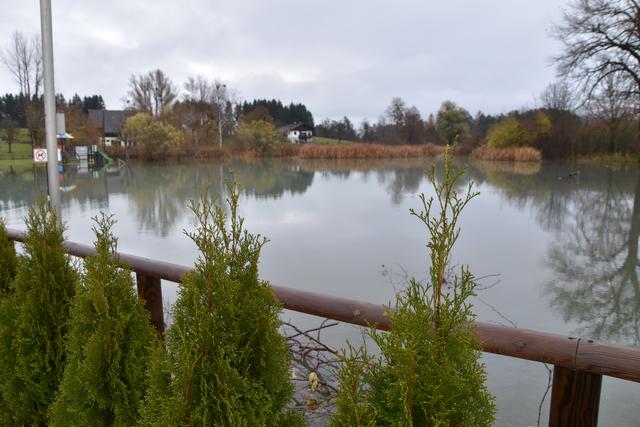 Foto: Alexandra Wrann