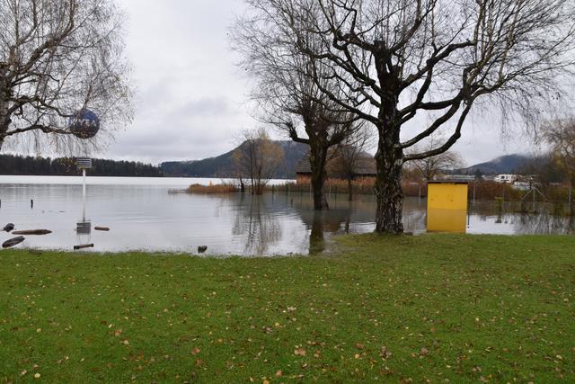 Foto: Alexandra Wrann