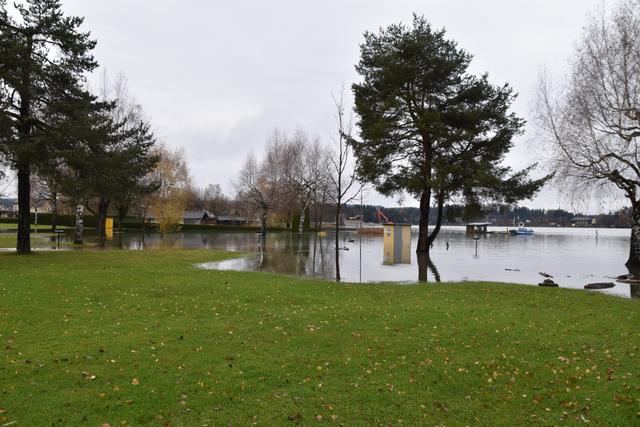 Foto: Alexandra Wrann