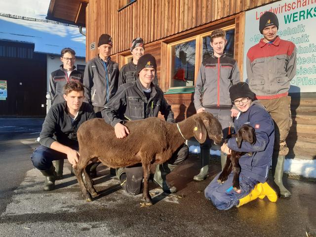 Schüler der LFS Tamsweg mit Bella und einem ihrer kleinen Lämmer.
 | Foto:  LFS Tamsweg