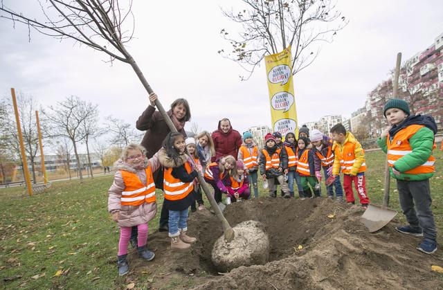 Kinderfreunde Leopoldstadt: Gemeinsam mit 15 Kindern pflanzten Bezirksvize Astrid Rompolt (l.) und SPÖ-Klubobmann Christoph Zich (r.) einen Baum im Rudolf-Bednar-Park.