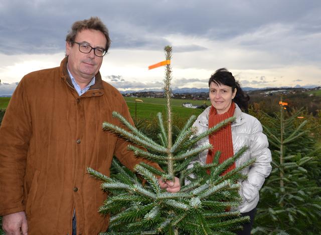 Johannes und Christa Gruber auf dem Christbaumfeld