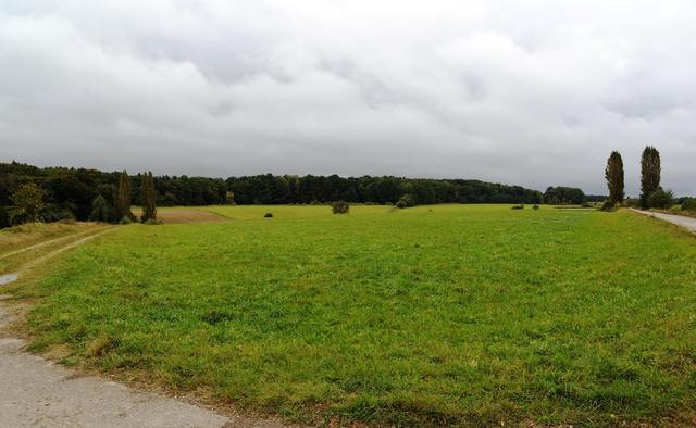 Künftiges Naherholungsgebiet: Der Truppenübungsplatz in Völtendorf sollte Ersatzflächen für die geplante S34 bieten. | Foto: Martin Koutny