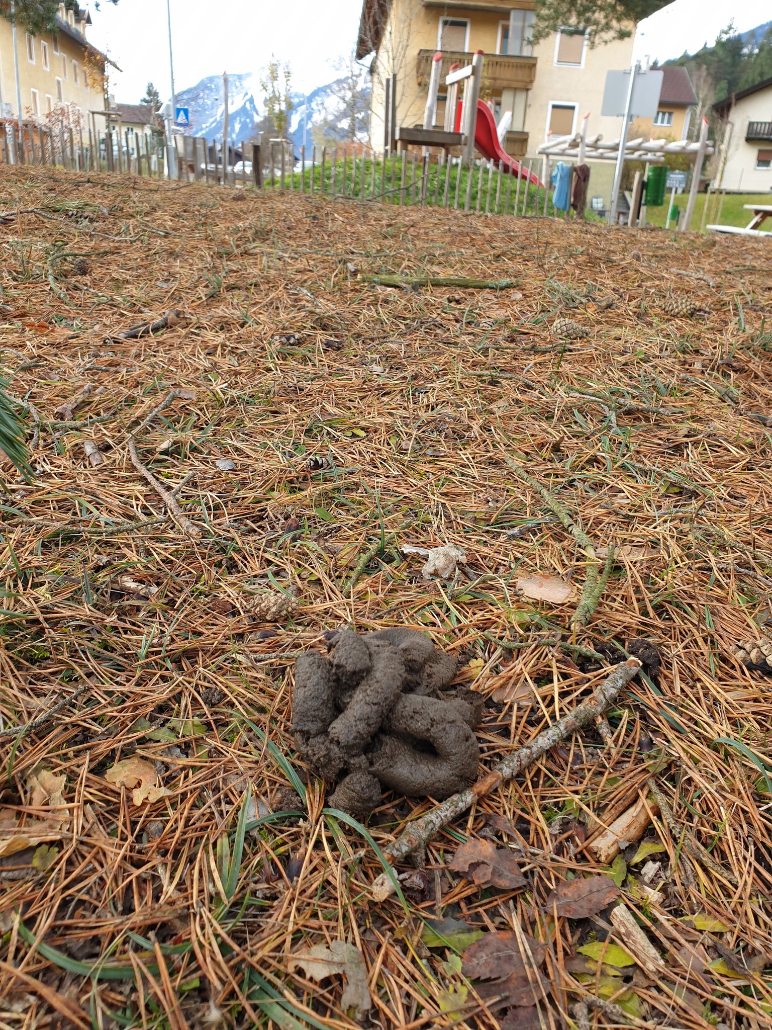 Eine Riesensauerei Hundekot am Spielplatz Reutte
