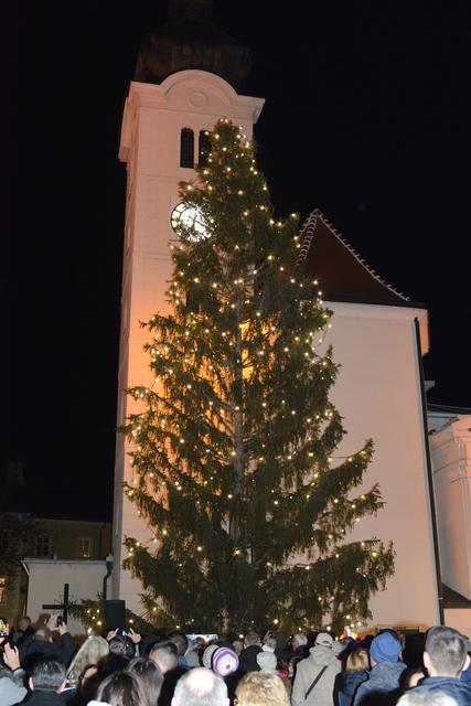 Purkersdorfer Weihnachbaum 2019