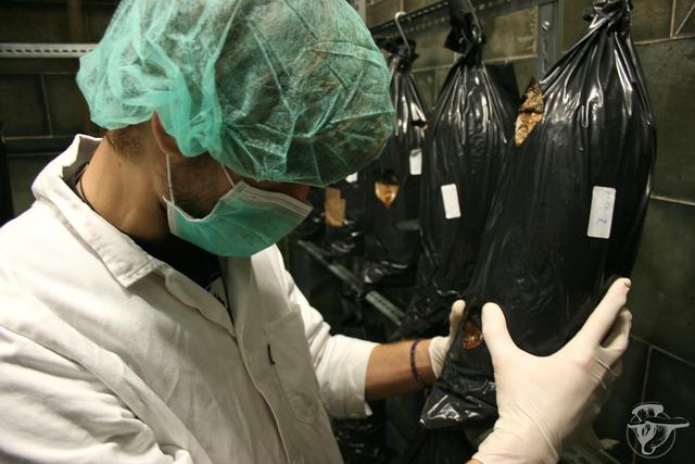 Für ihre Arbeit verwenden sie Kaffeesatz, das ist nachhaltiger. | Foto: Victor Sales