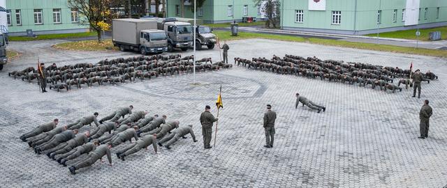 Die Rieder Soldaten nahmen an der Liegestützchallenge teil.  | Foto: Foto: Zehnerkaserne Ried