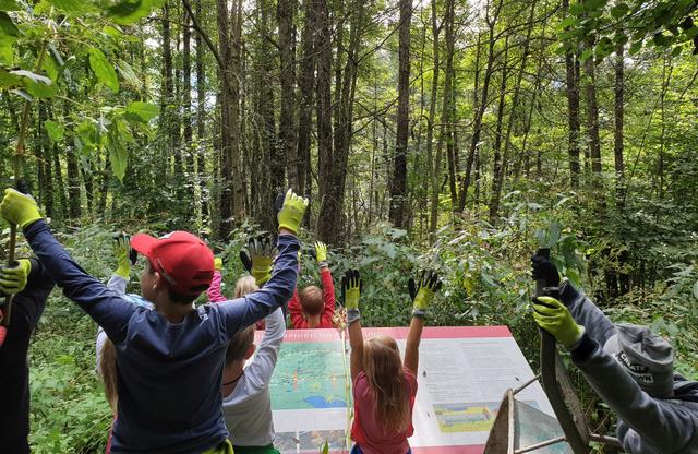 Gemeinsam mit Volksschulkindern wurden Flächen vom indischen Springkraut befreit.