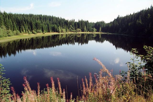 Wichtiges Naturerbe: der Rubenerteich am Tannenmoor in Liebenau.