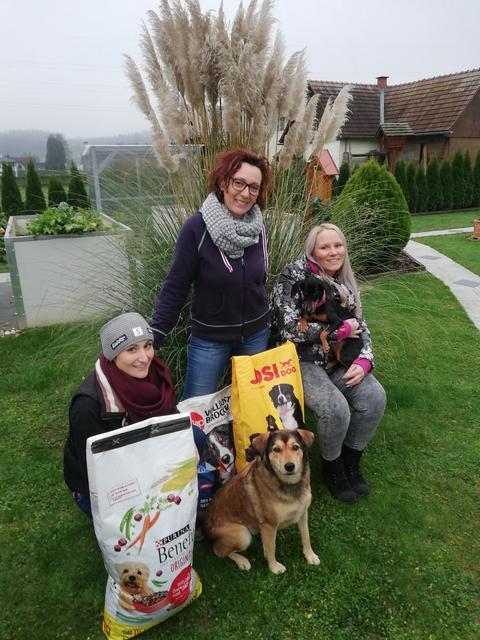Anja und Christa Müller stehen gemeinsam mit Verena Groß schon voll im Einsatz für die privat initiierte Benefizaktion "Weihnachten für Tiere". | Foto: KK