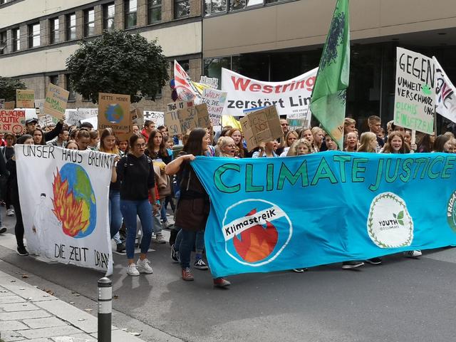Beim letzten weltweiten Klimaaktiontag marschierten knapp 10.000 Aktivisten durch Linz. | Foto: privat