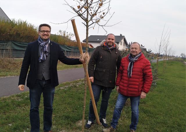 Der Bürgermeister freit sich über das neue "Grün". | Foto: Gemeinde Leopoldsdorf