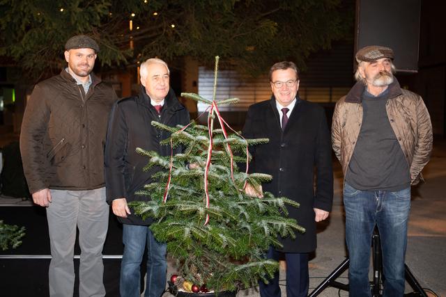 Als Dank für die gespendete Fichte wurde der Familie Zeller aus Breitenwang ein Weihnachtsbaum geschenkt (v.li.): Stefan Zeller, Bgm Hans-Peter Wagner, LH Günther Platter und Heinz Zeller. | Foto:  Land Tirol/Lechner