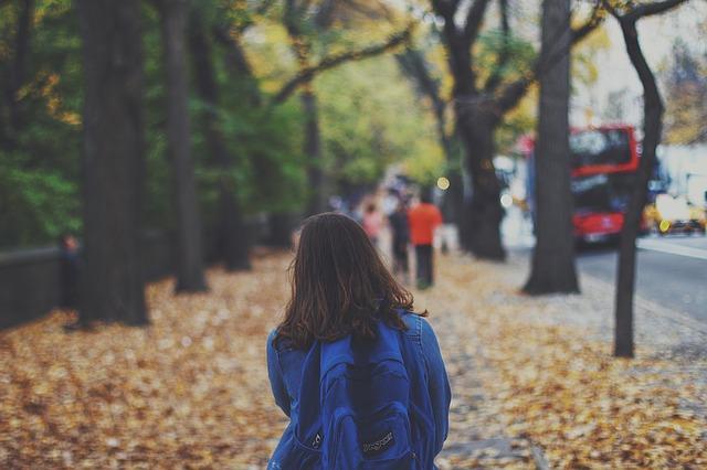 Drei Schüler wurden heute morgen verletzt, weil es zum Zusammenstoß mit Fahrzeugen kam, ein Mädchen in St. Paul im Lavanttal sogar schwer. | Foto: Pixabay/Free-Photos