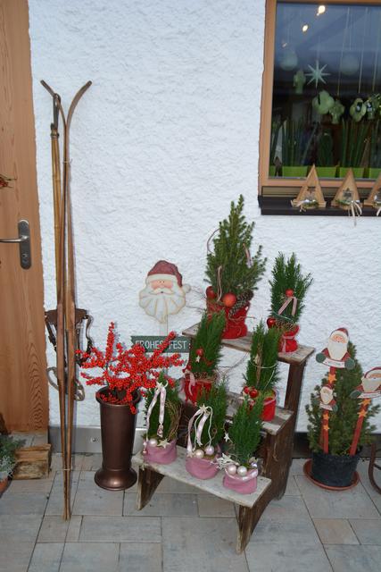 Foto: Harald Neuhold