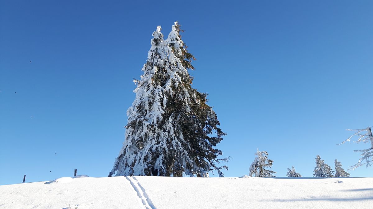 Winterzeit Thema Auf Meinbezirk At