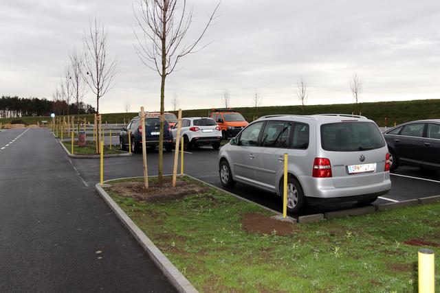 Auf der Park & Drive-Anlage in Steinberg-Dörfl wurden bereits 30 Spitzahornbäume zur Beschattung der Parkplätze gepflanzt.