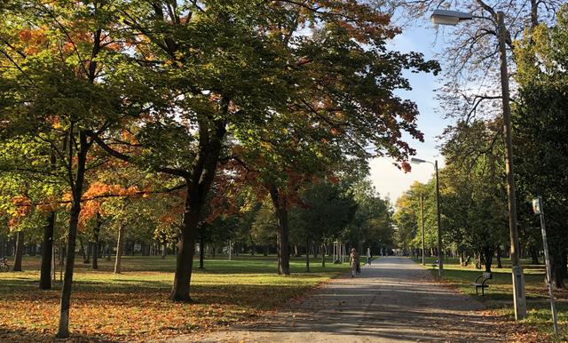 "Leitbild Grünräume neu": Mit Bebauungsverboten will die Stadt Wien verschiedene Flächen – wie den Prater – langfristig erhalten.