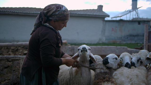 "Xalko" von Samir Mermer bewegte viele Menschen.