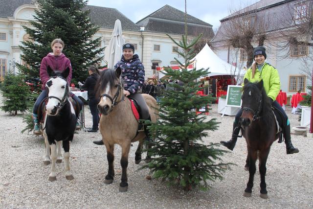 Ponyreiten vor der Kulisse des Schlosses Halbturn.