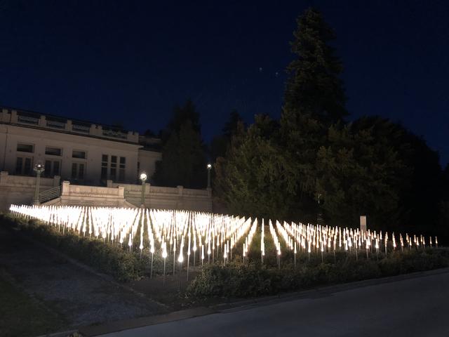 Das Mahnmal am Otto-Wagner-Areal erinnert an die Kinder vom Spiegelgrund. Jedes Licht steht für eines der Kinder.