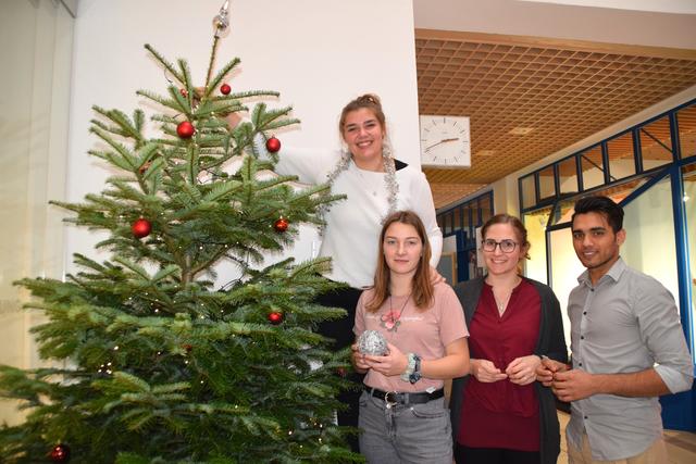 Laura, Leandra, Annalena und Neza (v.li.) schmückten beim Tag der offenen Tür die Christbäume an der Schule. | Foto: Siegele