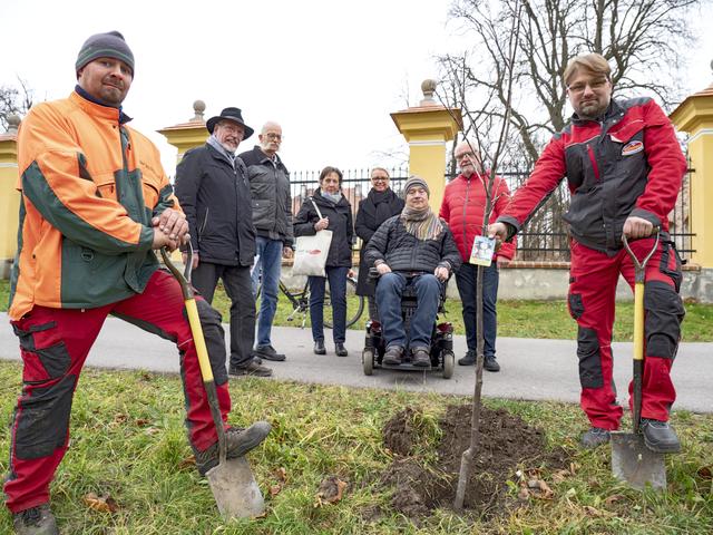 Gärtner Rafael Weninger, Projektmitarbeiter Michael Ledwinka, Gerhard Bauer, Gerda Kettinger, Bürgermeisterin Marion Török, Josef Stradl, Altbürgermeister Hermann Kühtreiber Gemeinde-Gärtner Istvan Kolnhofer vor dem Schloss Althann bei der Pflanzung.