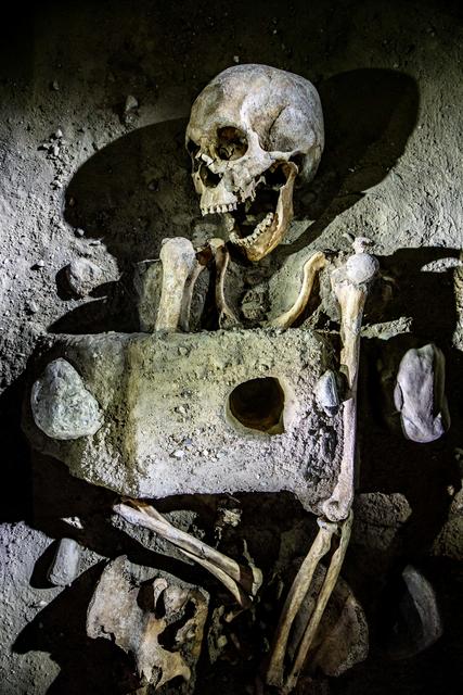 Die gepfählte Bestattung von Molzbichl (10. Jh.).
 | Foto: Museum Carantana/H. Weichselbraun