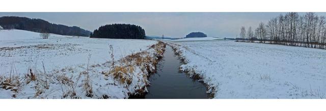 Zufluss zum Seeleitensee (Ibmer Moor).