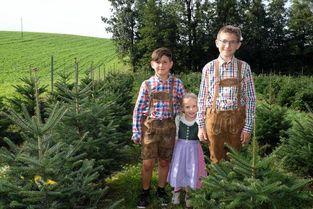 Die Bäume im Betrieb von Franz Fürlinger wachsen rund 300 Meter vom Bauernhof entfernt in Weißkirchen an der Traun, also mitten im Bezirk Wels-Land. Hier werden seit drei Generationen Weihnachtsbäume produziert. Ende der 1970er Jahre begann der Großvater mit Blaufichten. Auf die Blaufichte folgten in der Zeit von Fürlingers Vater Koreatannen, Korktannen und Coloradotannen. Franz Fürlinger, der den Betrieb seit 2012 führt, setzt aufgrund der Kundenwünsche ausschließlich auf Nordmanntannen. Im Bild ist die vierte Generation zu sehen. | Foto: Franz Fürlinger