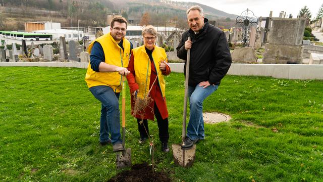 JVP Obmann Thomas Tweraser, Seniorenbundobfrau Vizebürgermeisterin Irene Wallner- Hofhansl, Bürgermeister Josef Schmidl-Haberleitner pflanzen gemeinsam Bäume.