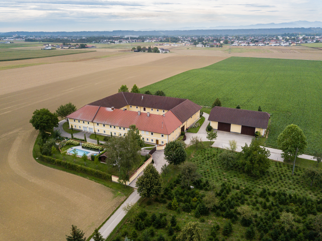 Die Christbaumkultur der Familie Wurm liegt direkt neben ihrem Hof in Oberneufahrn in Marchtrenk. Vor rund 12 Jahren wurde mit dem Setzen begonnen, seit vier Jahren werden hier Christbäume ab Hof verkauft. Auch in dieser Christbaumkultur findet man hauptsächlich Nordmanntannen, aber auch einige Blaufichten wurden gesetzt. In den Wäldern der Familie wachsen darüber hinaus Fichten und Weißtannen.  | Foto: Familie Wurm