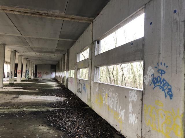 In diesem Teil der Ruine fand nach unserem Kontaktmann unlängst eine Tech-Party statt. Die Ausschnitte für die Fenster, rechts im Bild, wurden dafür mit Eierkartons überklebt.  | Foto: BezirksRundschau
