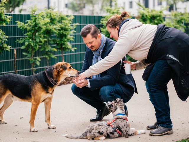 Bei der Hundezonentour wurde nicht nur über Anregungen gesprochen – die Leckerli-Wünsche der Vierbeiner wurden auch erfüllt. | Foto: Verena Moser
