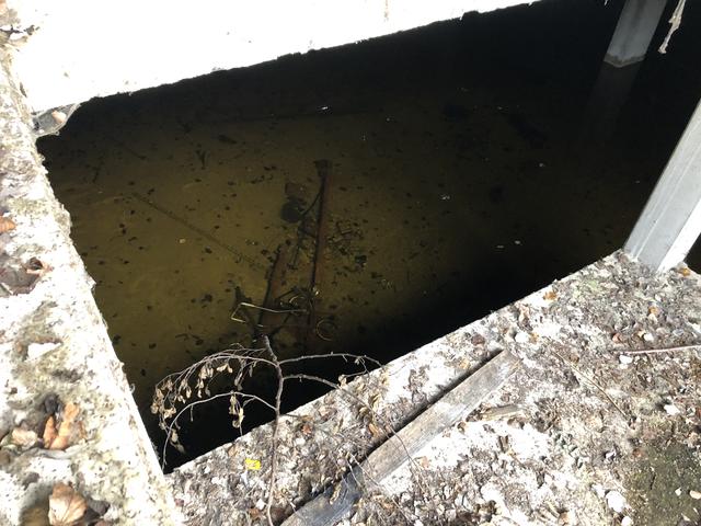 Bei genauerem Betrachten findet sich im Wasser ein Gestell eines Kindeswagens.  | Foto: BezirksRundschau